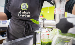 arden's garden making green juice and benefits